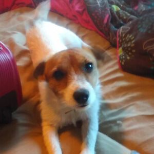 Meet your Posher, Cheri